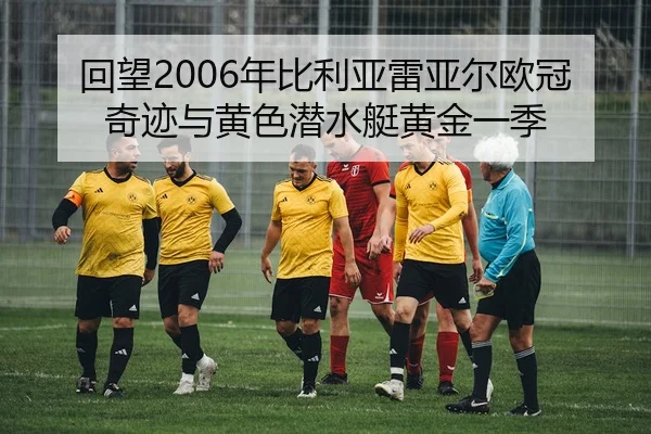 hui-wang-nian-bi-li-ya-lei-ya-er-ou-guan-qi-ji-yu-huang-se-qian-shui-ting-huang-jin-yi-ji-2-317.jpg