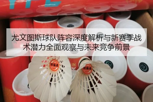 尤文图斯球队阵容深度解析与新赛季战术潜力全面观察与未来竞争前景