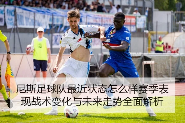 尼斯足球队最近状态怎么样赛季表现战术变化与未来走势全面解析